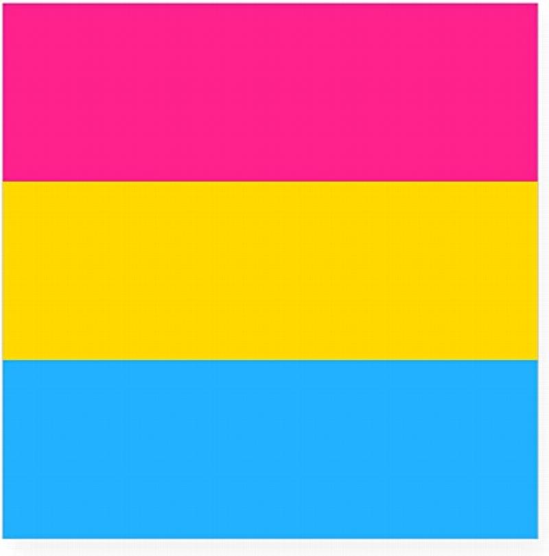 Image for Small Pan flag